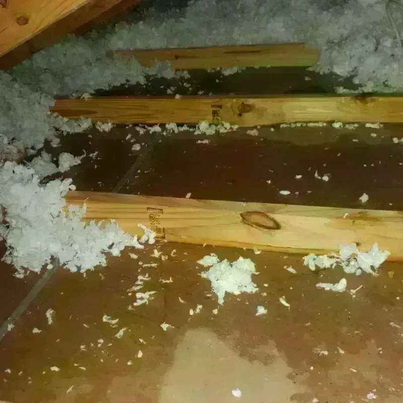 Attic Water Damage in Brainerd, MN