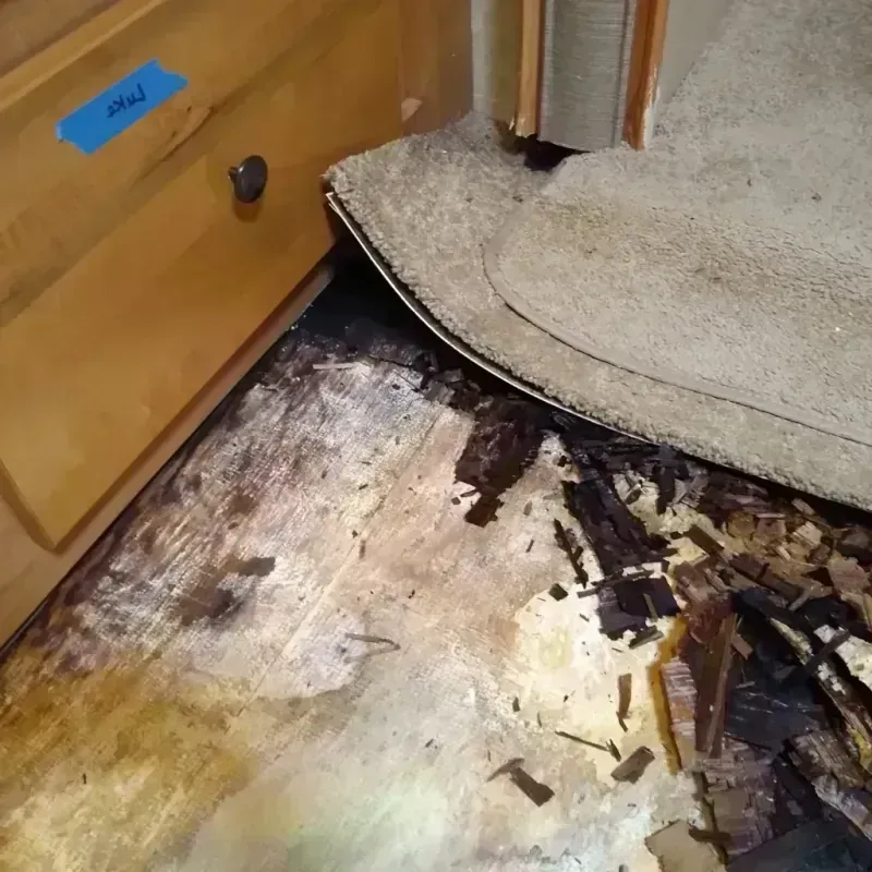 Wood Floor Water Damage in Brainerd, MN